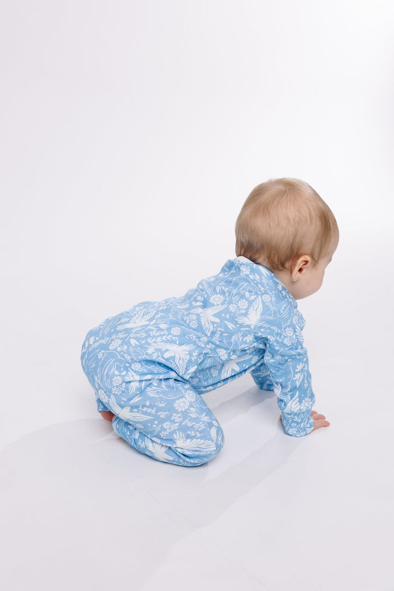 Holy Pals Onesie Birds of the Air Footless Onesie Cotton