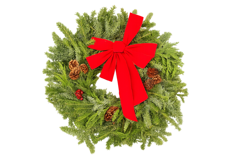 22" Decorated Evergreen Wreath | Fresh Fraser, Noble & Cedar Holiday Wreath | House Plant Shop
