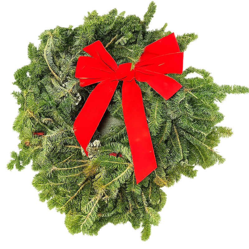 22" Fresh Fraser Fir Wreath | Fragrant Holiday Decoration | House Plant Shop