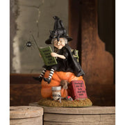 Bethany Lowe Figurines How to Train Your Black Cat Witch by Bethany Lowe Designs