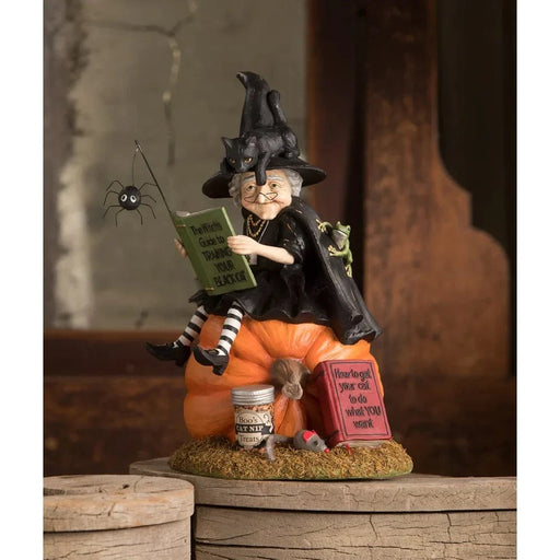 Bethany Lowe Figurines How to Train Your Black Cat Witch by Bethany Lowe Designs