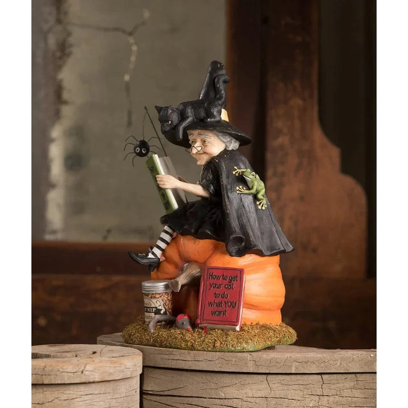 Bethany Lowe Figurines How to Train Your Black Cat Witch by Bethany Lowe Designs
