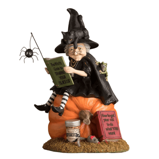 Bethany Lowe Figurines How to Train Your Black Cat Witch by Bethany Lowe Designs
