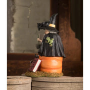 Bethany Lowe Figurines How to Train Your Black Cat Witch by Bethany Lowe Designs
