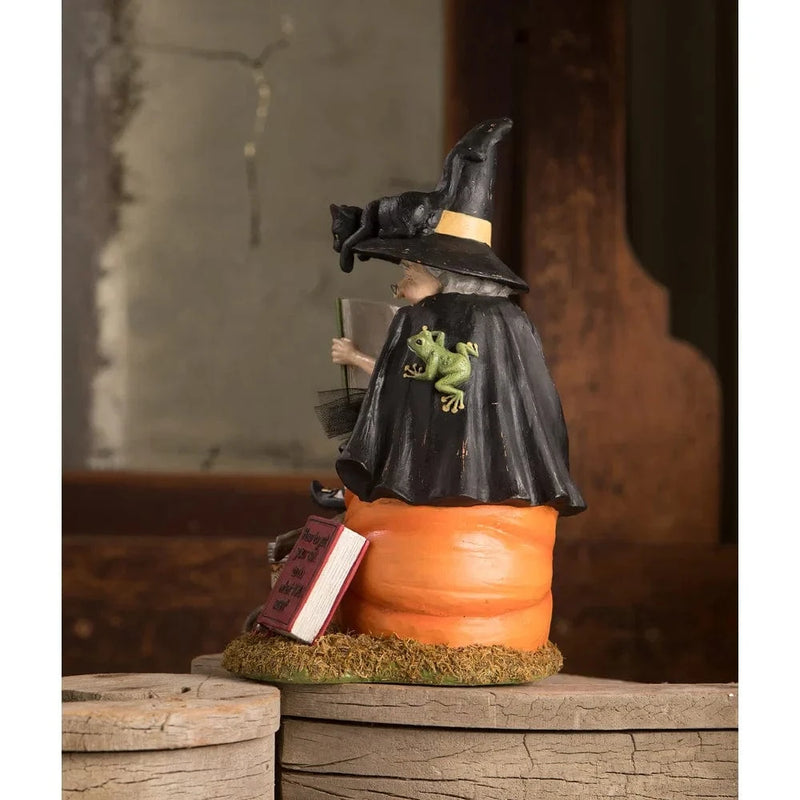 Bethany Lowe Figurines How to Train Your Black Cat Witch by Bethany Lowe Designs
