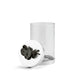 Black Orchid Medium canister - Treasured Accents
