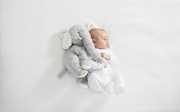 Ganz Baby Jellybean Elephant