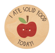 Ganz Baby Milestone Photo Prop Set - Accomplishments