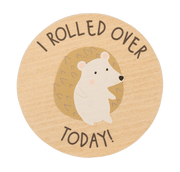 Ganz Baby Milestone Photo Prop Set - Accomplishments