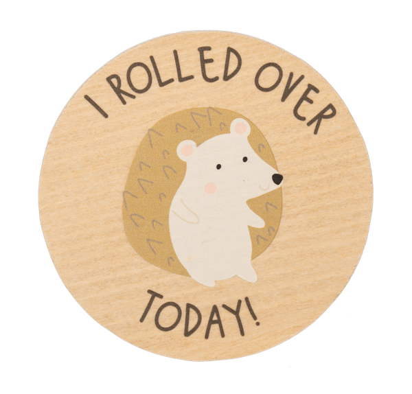 Ganz Baby Milestone Photo Prop Set - Accomplishments