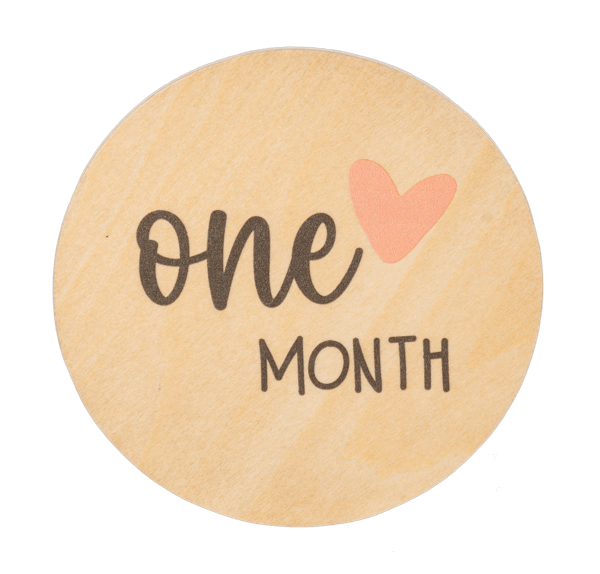 Ganz Baby Milestone Photo Prop Set - Months