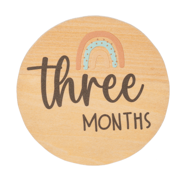 Ganz Baby Milestone Photo Prop Set - Months