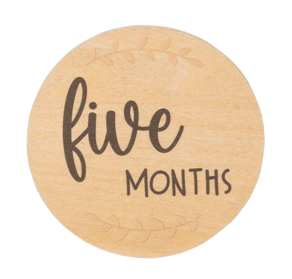 Ganz Baby Milestone Photo Prop Set - Months