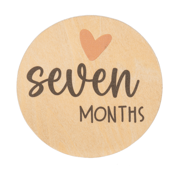 Ganz Baby Milestone Photo Prop Set - Months