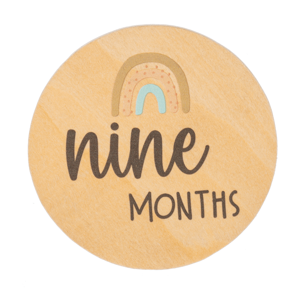 Ganz Baby Milestone Photo Prop Set - Months