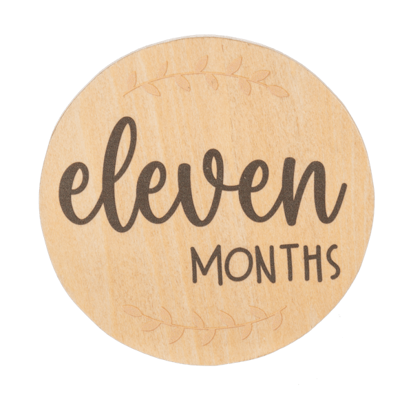 Ganz Baby Milestone Photo Prop Set - Months