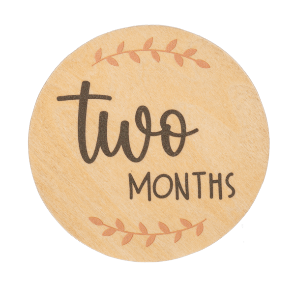 Ganz Baby Milestone Photo Prop Set - Months