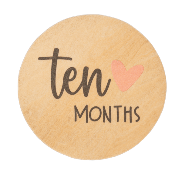 Ganz Baby Milestone Photo Prop Set - Months