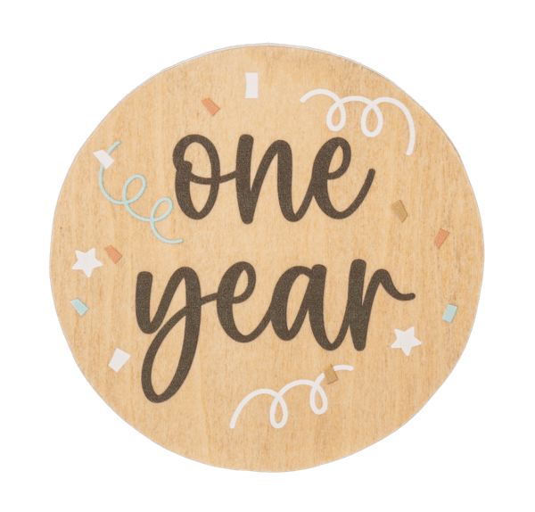 Ganz Baby Milestone Photo Prop Set - Months