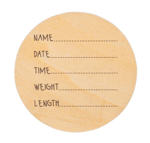 Ganz Baby Milestone Photo Prop Set - Months