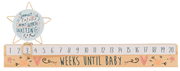 Ganz Baby Star Slide Countdown Baby Calendar Set - Some Things Are Worth Waiting For (2 pc. set)