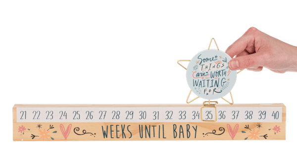 Ganz Baby Star Slide Countdown Baby Calendar Set - Some Things Are Worth Waiting For (2 pc. set)