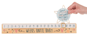 Ganz Baby Star Slide Countdown Baby Calendar Set - Some Things Are Worth Waiting For (2 pc. set)