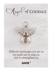 Ganz Gift Your Special Angel Pins