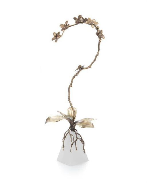 John Richard Accents Phalaenopsis