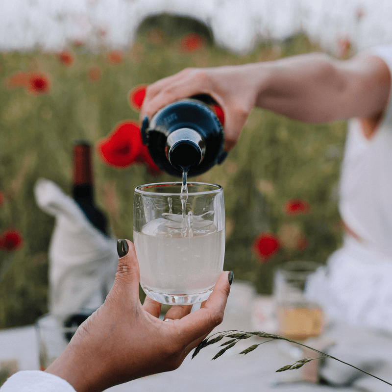 La Rochere NA La Rochere Dragonfly Tumbler Set-6