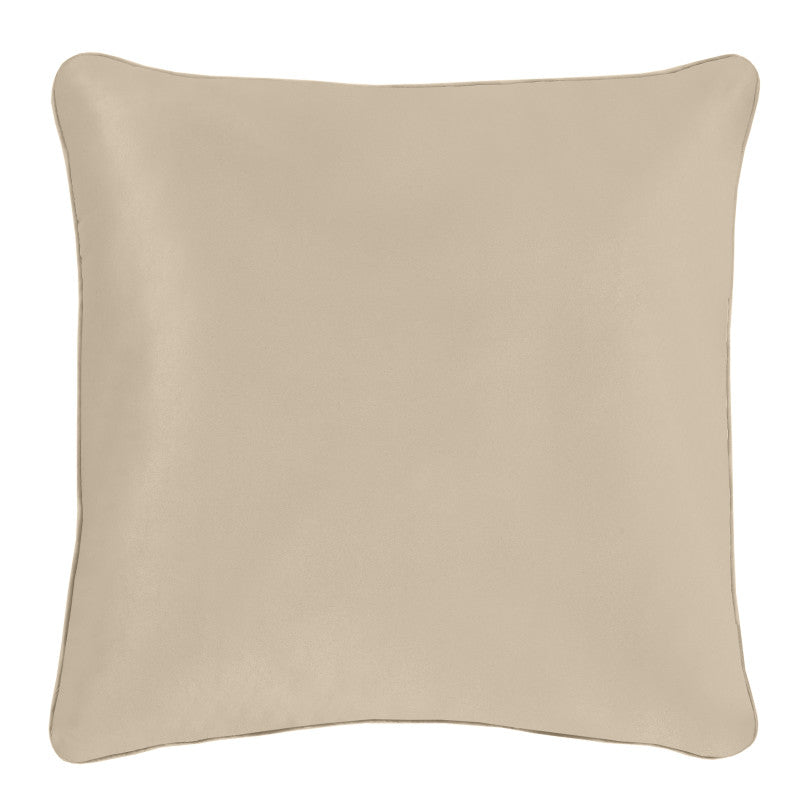 Lyndon 20" Square Decorative Throw Pillow