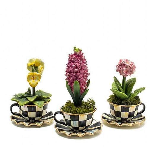 MacKenzie-Childs Accents Teacup Hyacinth