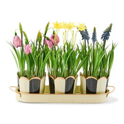 MacKenzie-Childs Decor Courtly Stripe Triple Potted Blooms