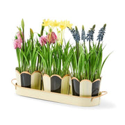 MacKenzie-Childs Decor Courtly Stripe Triple Potted Blooms