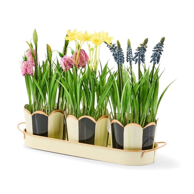 MacKenzie-Childs Decor Courtly Stripe Triple Potted Blooms