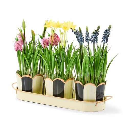 MacKenzie-Childs Decor Courtly Stripe Triple Potted Blooms