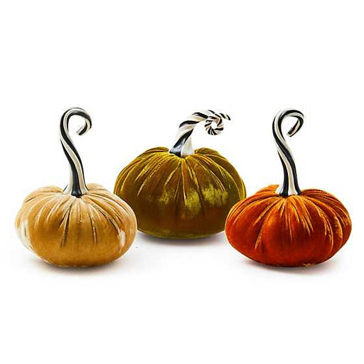 MacKenzie-Childs Fall Decor Autumnology Coffee Twisted Stem Velvet Pumpkin