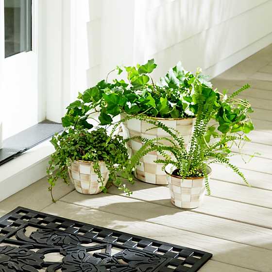 MacKenzie-Childs Flower Pot Mocha Check Extra Large Garden Pot