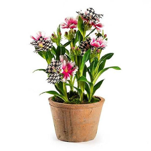 MacKenzie-Childs Potted Pink Dianthus