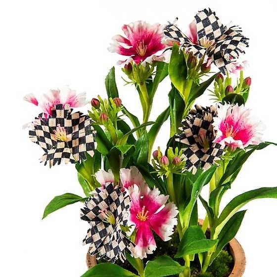 MacKenzie-Childs Potted Pink Dianthus