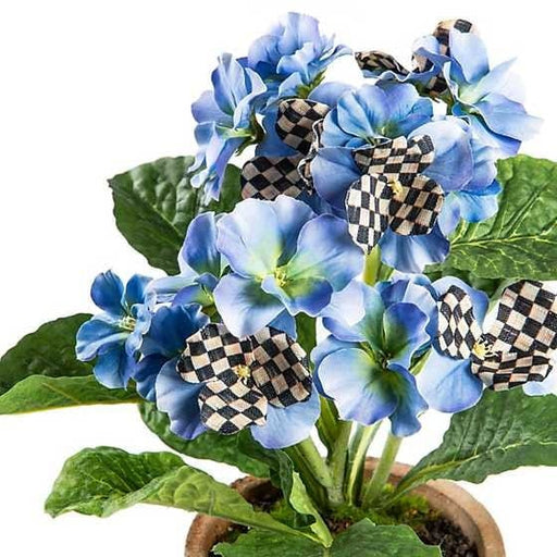 MacKenzie-Childs Potted Primrose - Blue