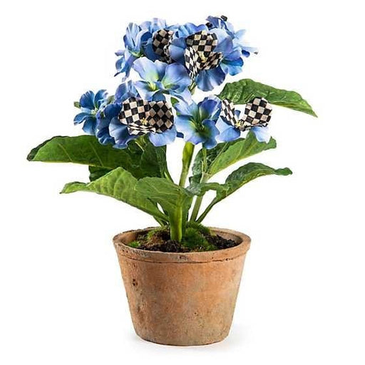 MacKenzie-Childs Potted Primrose - Blue