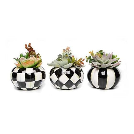 MacKenzie-Childs Pumpkins Hen & Chicks Pumpkin - Set of 3