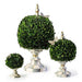 MacKenzie-Childs Sterling Check Small Boxwood Centerpiece