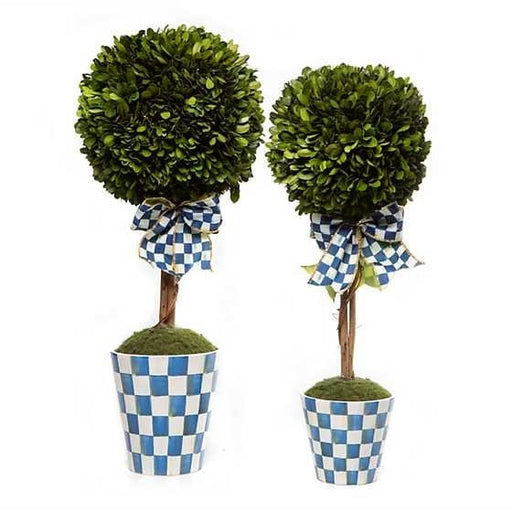 MacKenzie-Childs Trophies & Topiaries Royal Boxwood Topiary Drop In - Small - FINAL SALE
