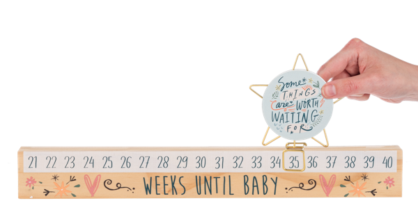 Star Slide Countdown Baby Calendar Set - Some Things Are Worth Waiting For (2 pc. set)