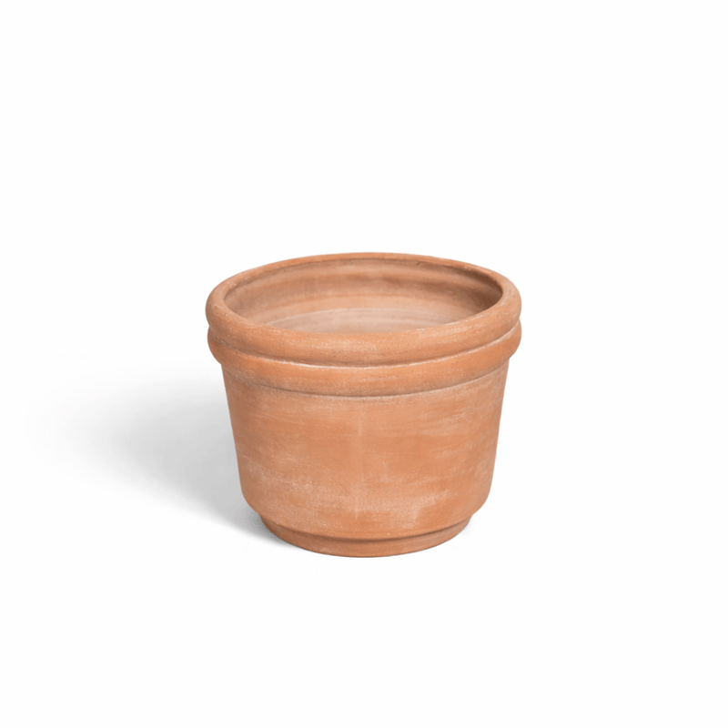 MESO Planter Felipe Terracotta Planters by MESO