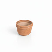 MESO Planter Felipe Terracotta Planters by MESO