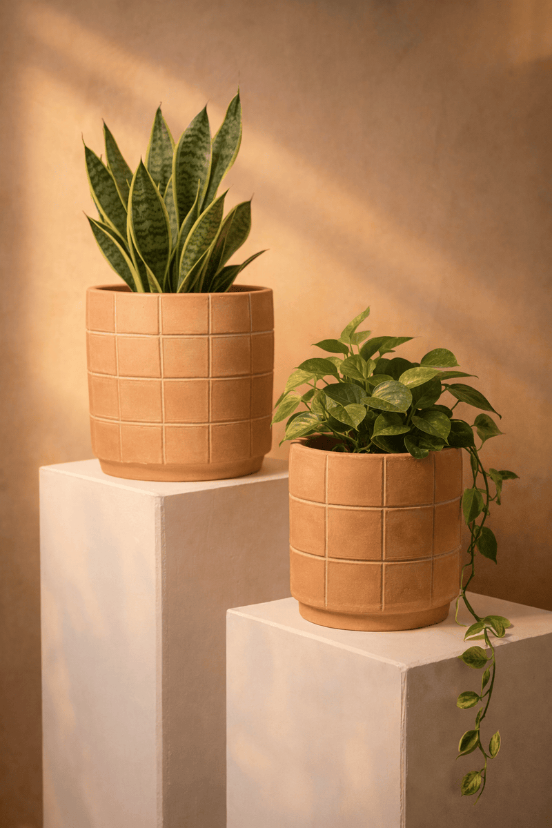 MESO Planter Grid Terracotta Planters by MESO
