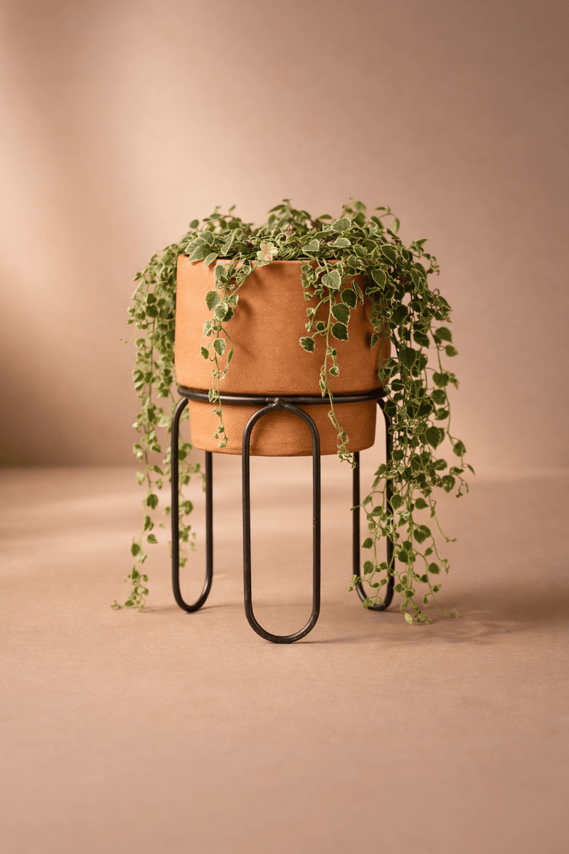 MESO Planter Jaro Terracotta Planters by MESO